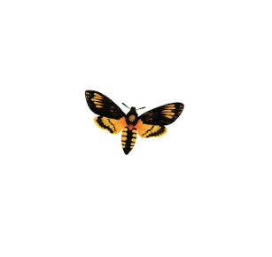 Logo of The Grief Channel a Yellow and Black Butterfly